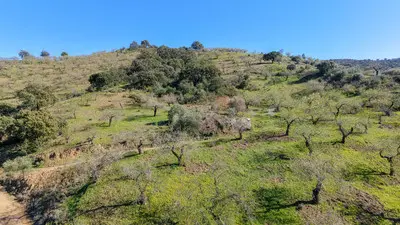 Parcela en Málaga