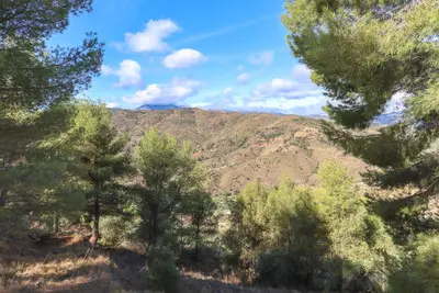 Land in Guaro