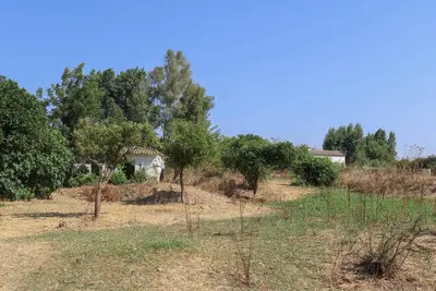 Parcela en Coín