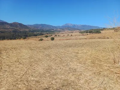 Grund i Coín